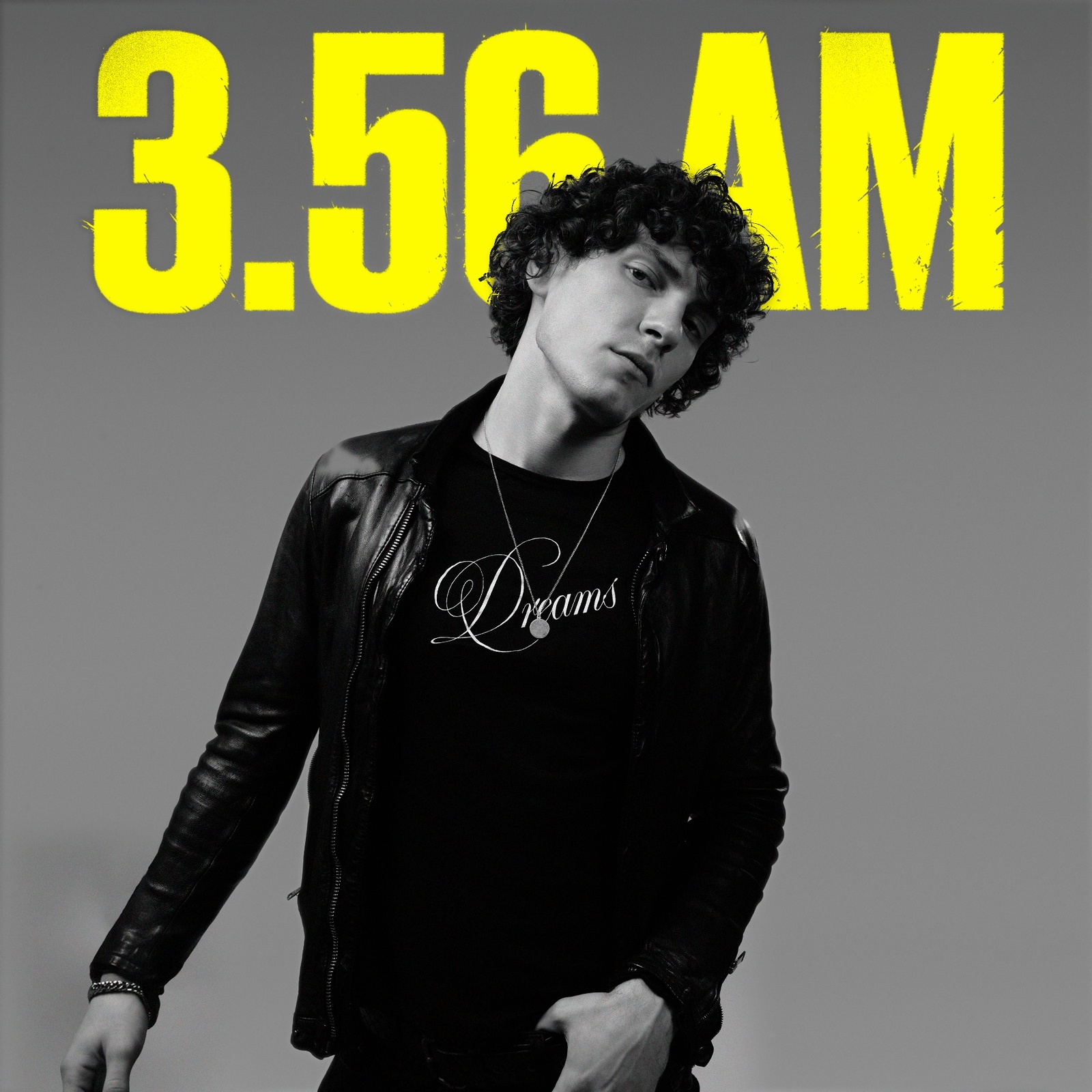 3.56 am — большие сольные концерты